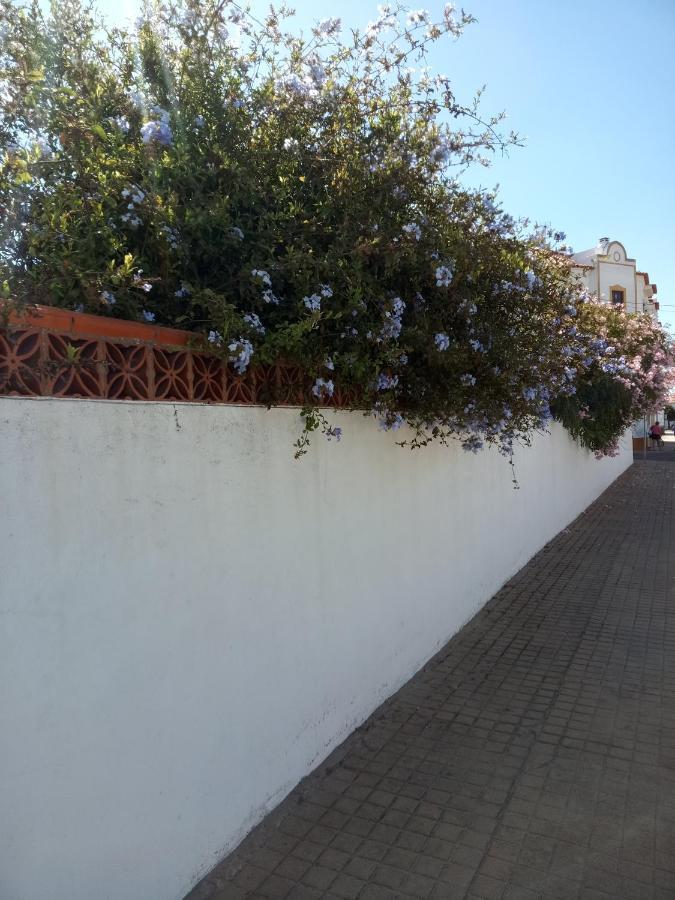 Por Do Sol Hotel Vila Nova de Milfontes Ngoại thất bức ảnh